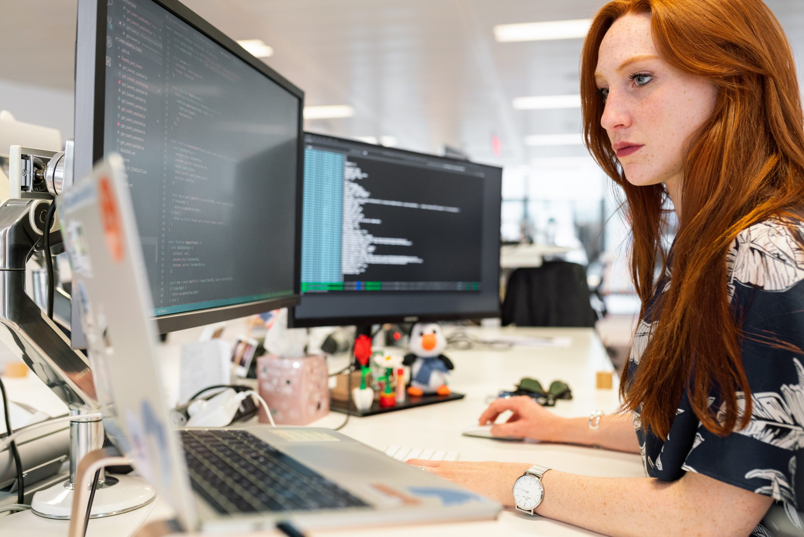 Professionnelle de l'informatique suivant une formation