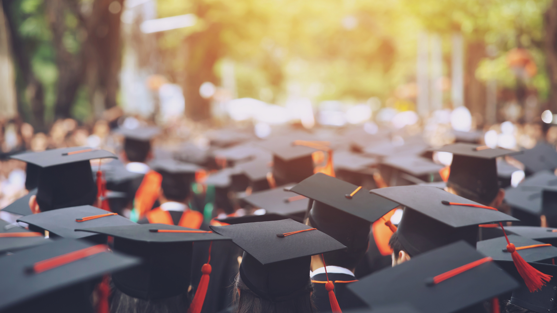 Educatly LinkedIn Education